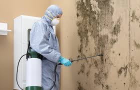 Professional Mold Inspection in Gettysburg, PA